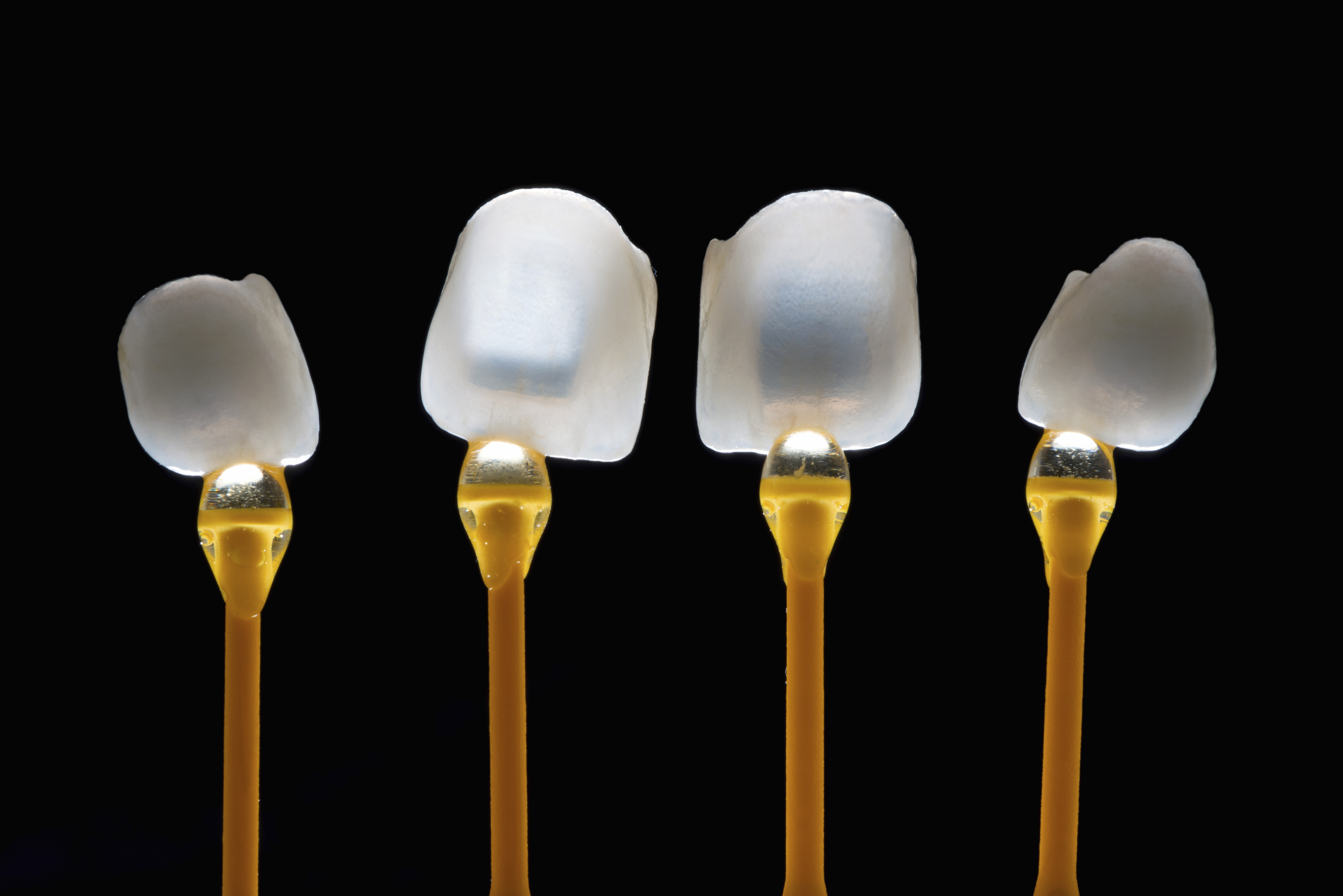 Dental treatment illustration